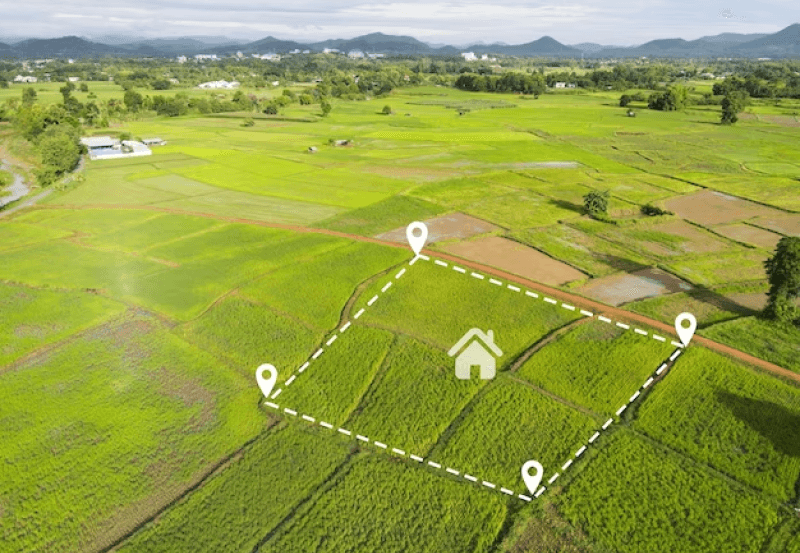 service-1 adarsh euphoria six advantages of investing in premium villa plots